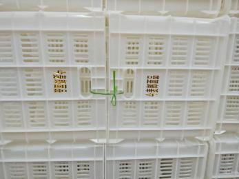 今麥郎、丹尼斯塑料筐